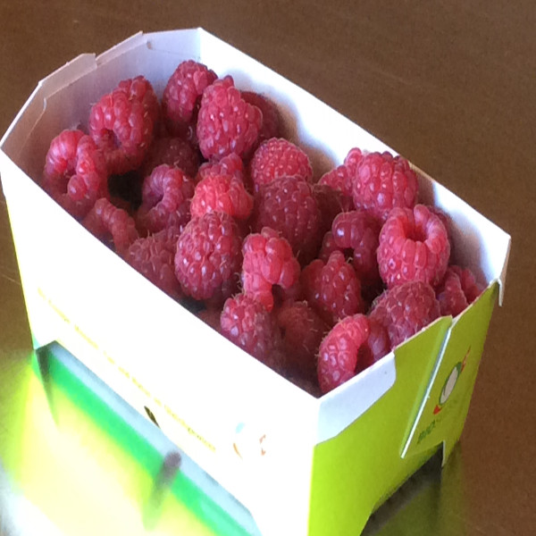 Himbeeren.JPG