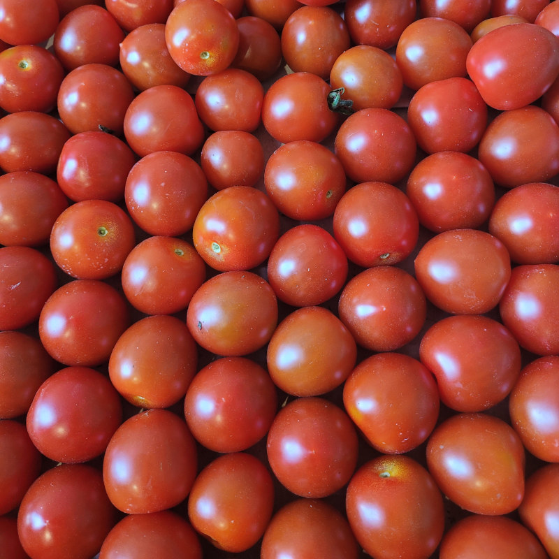 cherry_tomaten.jpg