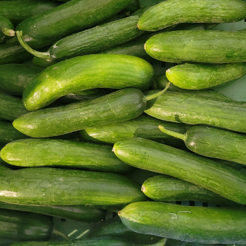 Snack_Gurken.jpg