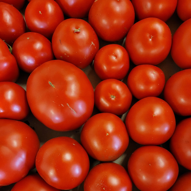 Tomaten_rund_2.jpg