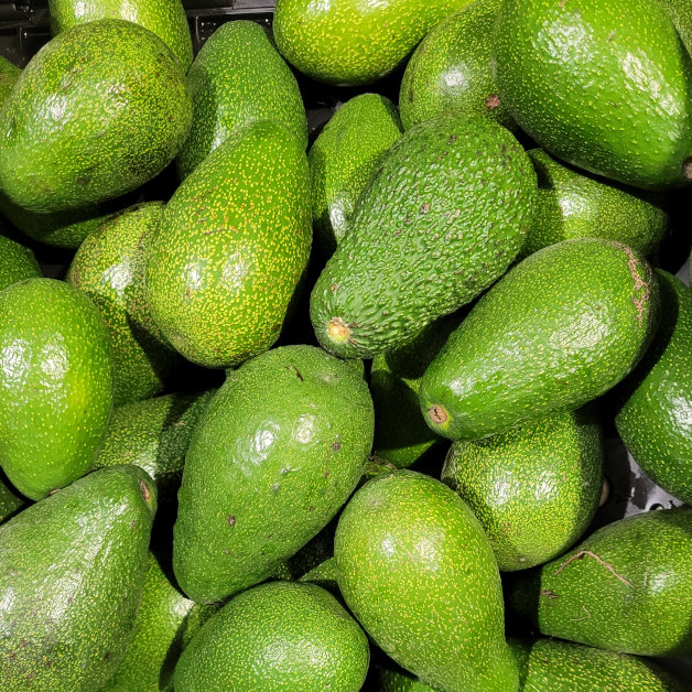 Avocado.jpg