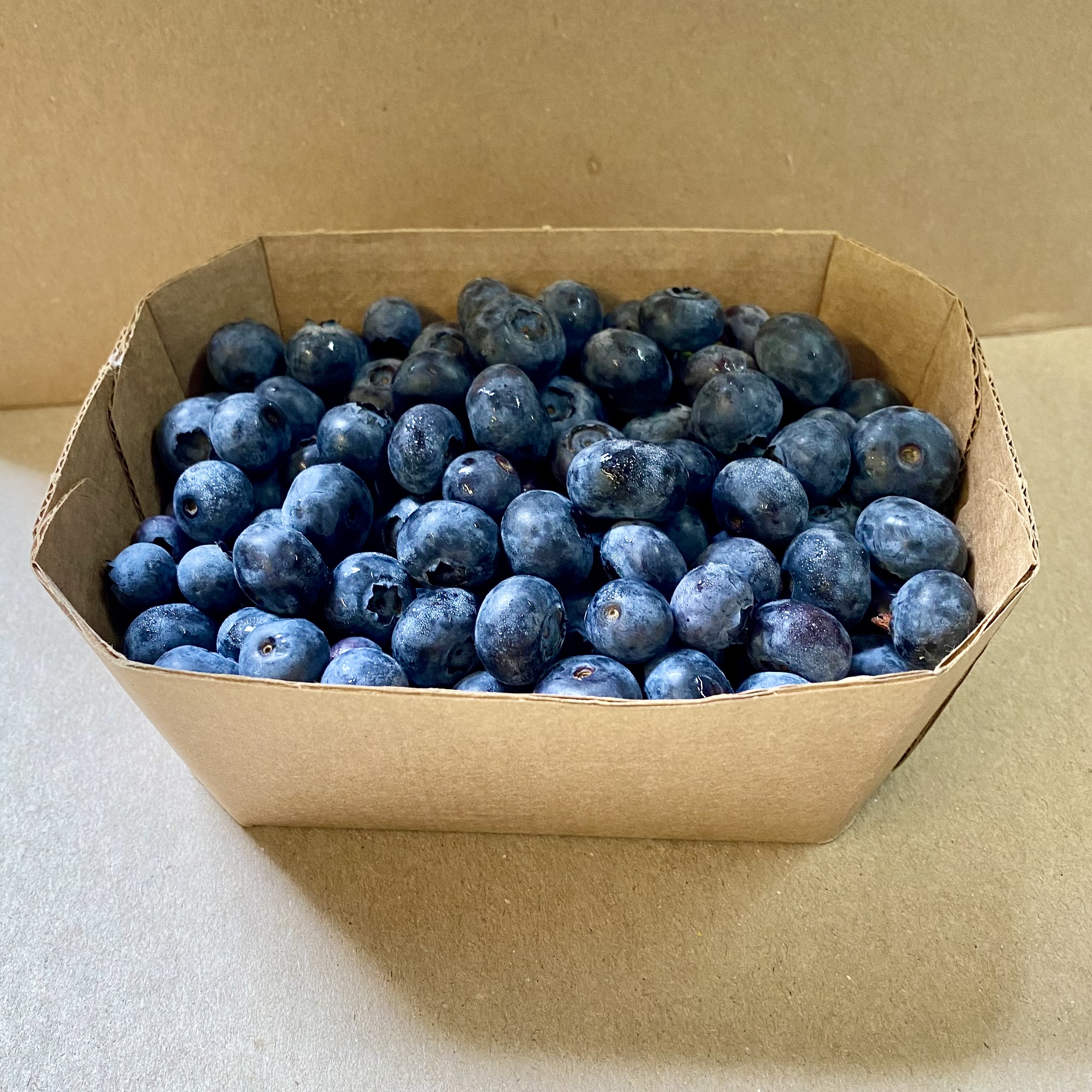 Heidelbeeren.jpg