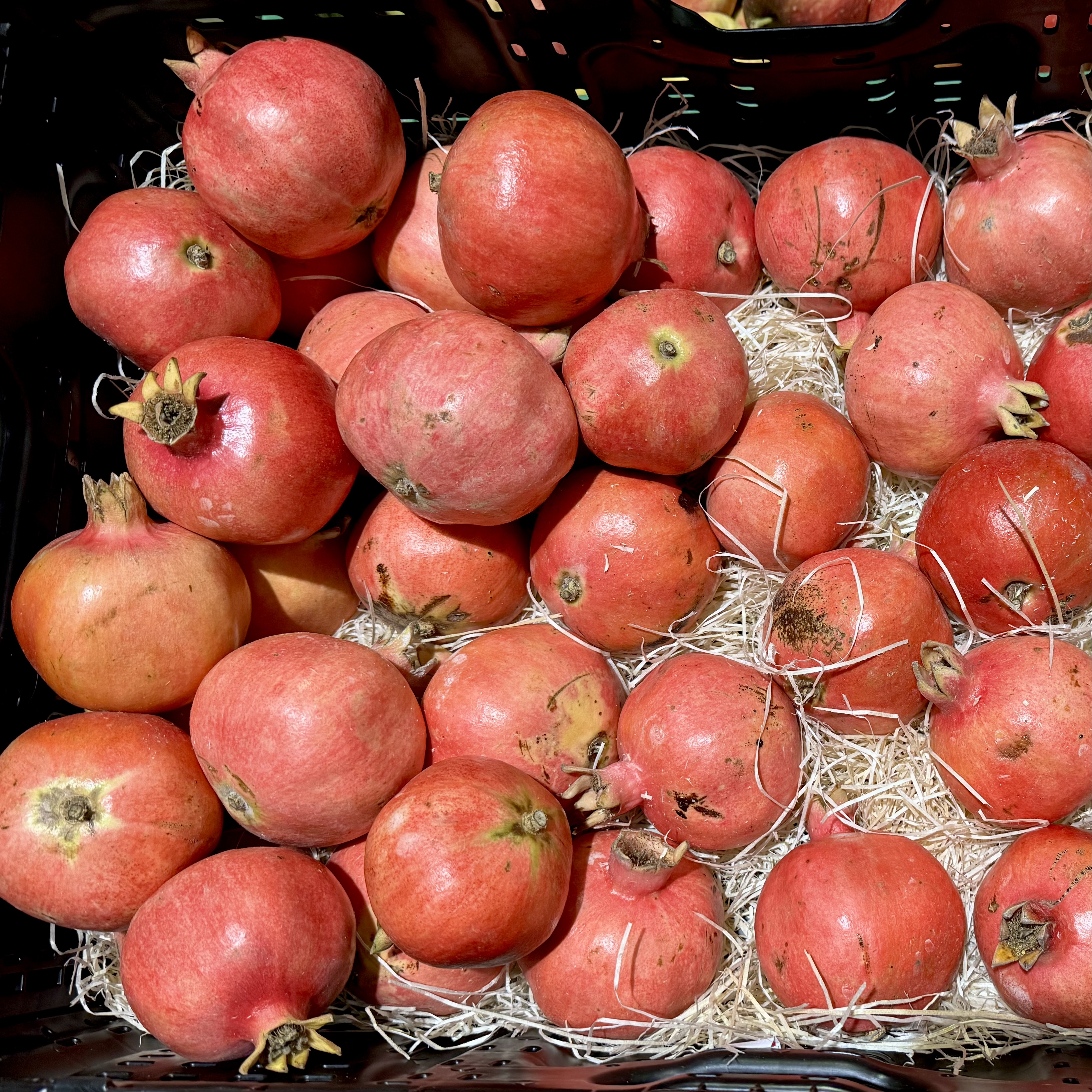 granatapfel.jpeg