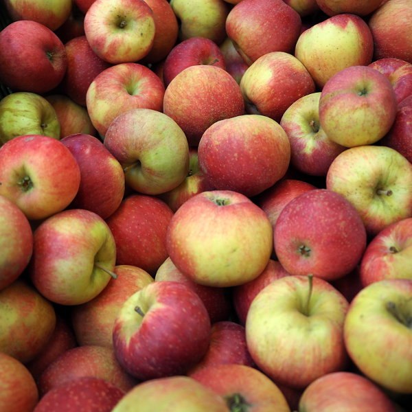 Apfel-suesslich.JPG