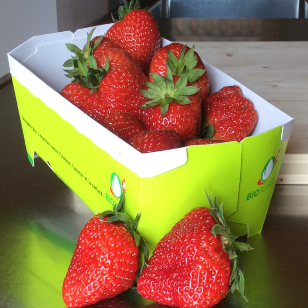 Erdbeeren_20180522175340.jpg